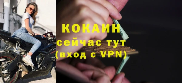 прущие грибы Абинск